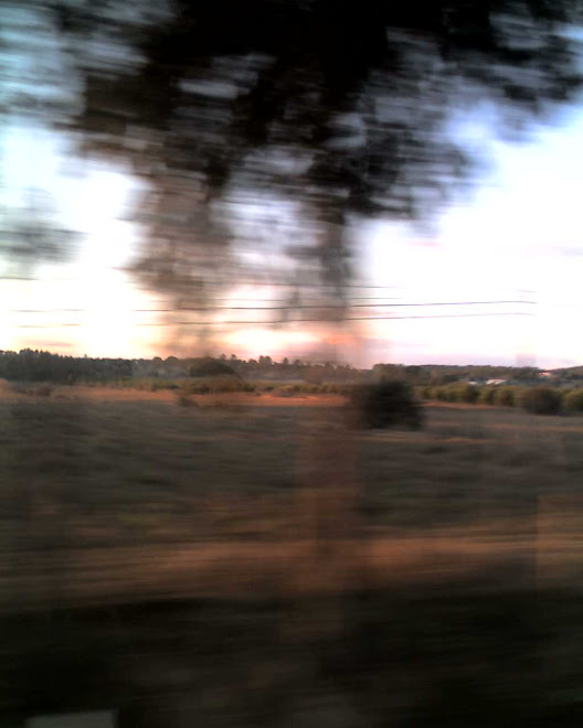 imagem, campestre, ribatejo(portugal)