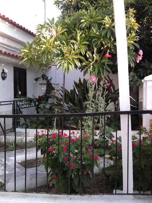 imagem, jardim casa do feijo-almada(peninsula de setubal, portugal)