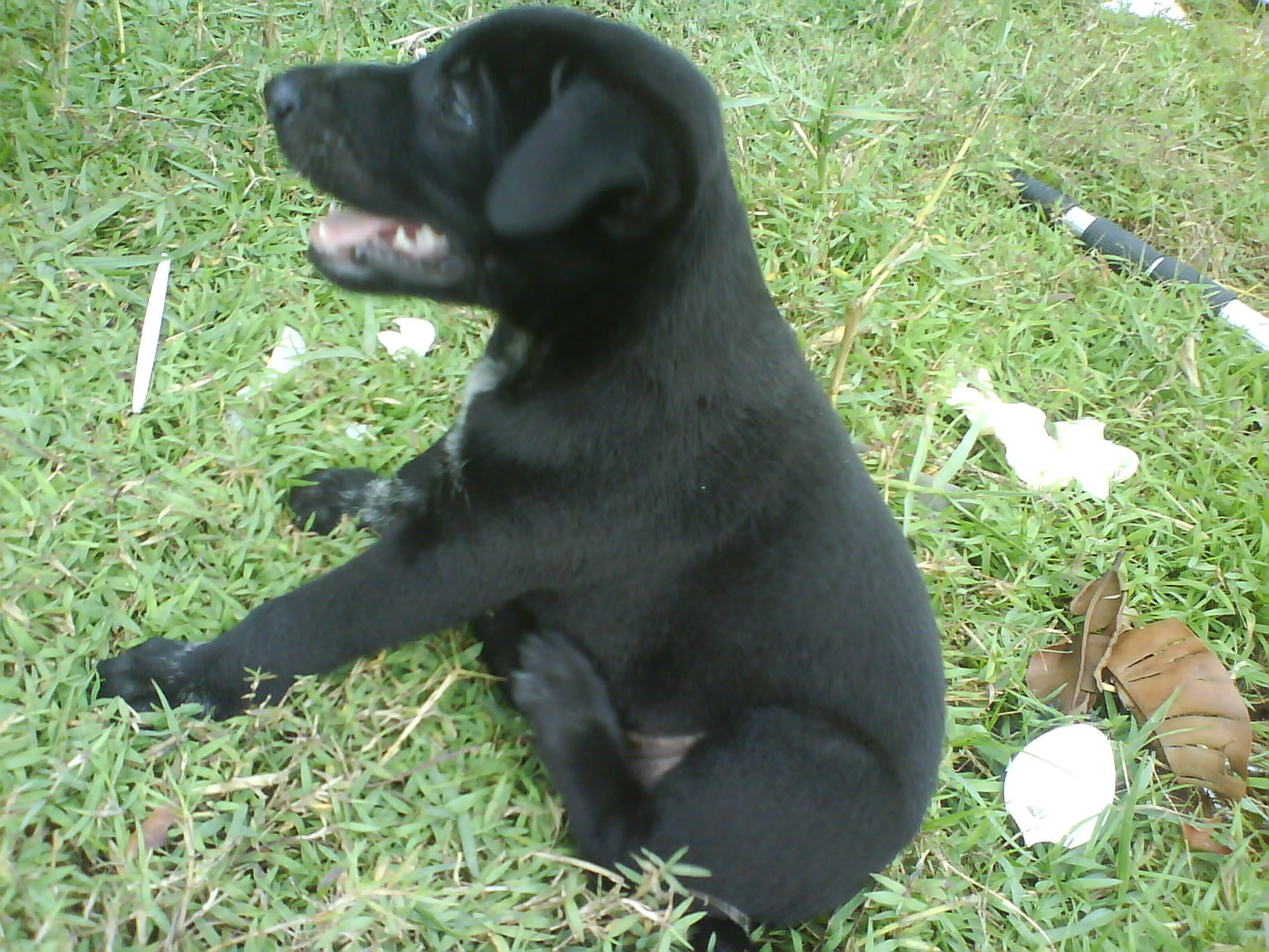 240x320 Wallpaper On Zedge Wallpaper Pictures Gallery