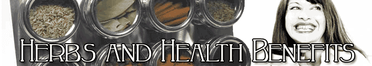 Herbs And Health Benefits
