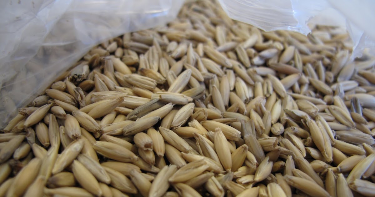 The City Brewer Oat Wine