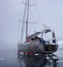 <i>Pelagic Australis</i> at Port Lockroy