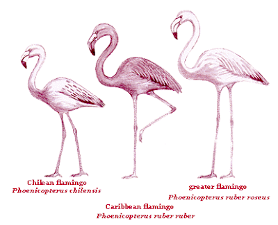 2040worldview: Swinger's Update