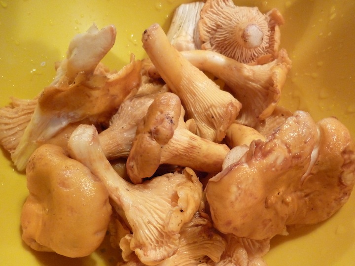 Foods For Long Life Roasted Chanterelle Mushroom Risotto My Family's