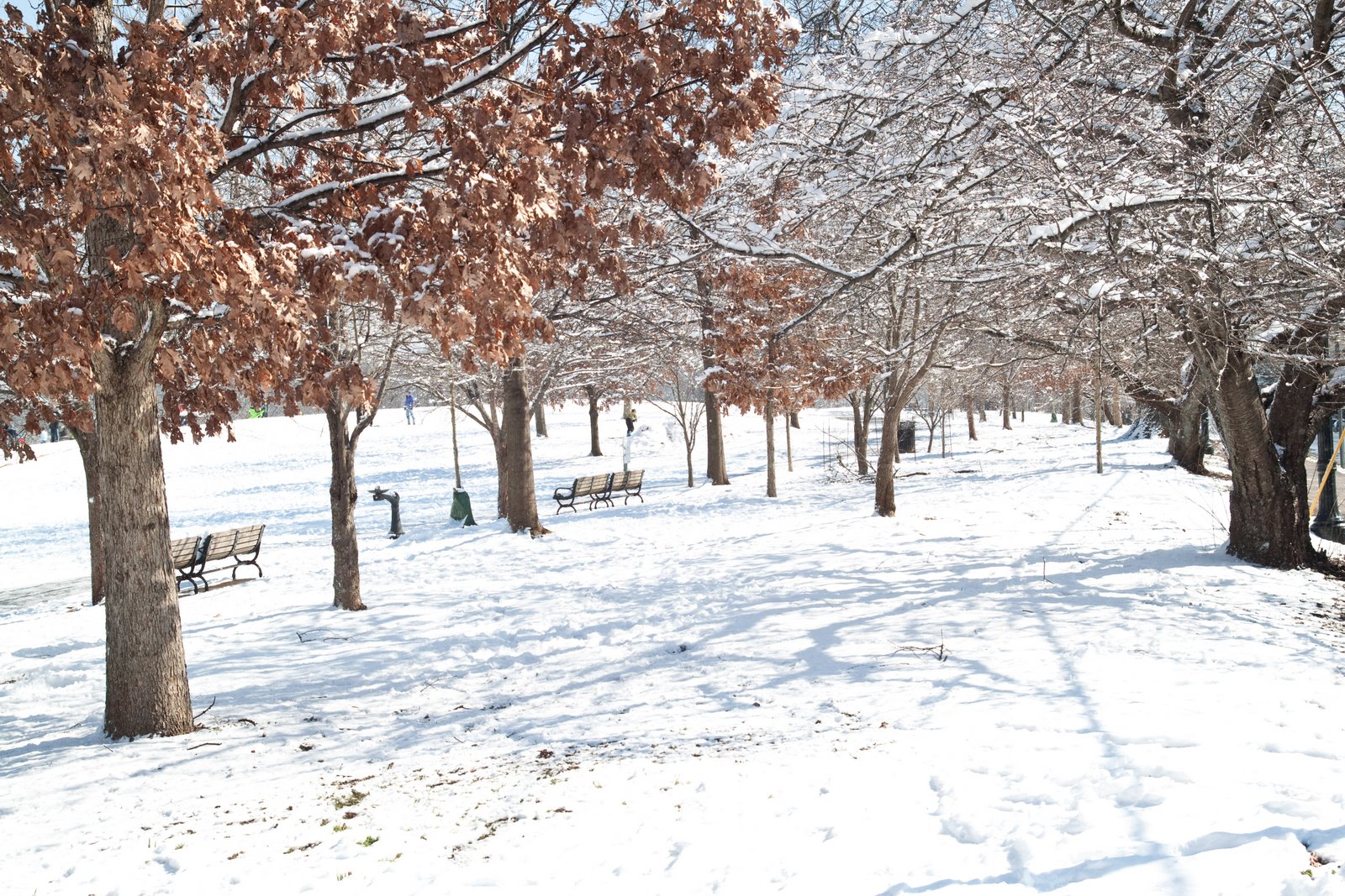 [Atlanta+Snowstorm+-+2010-02-13-7724.jpg]