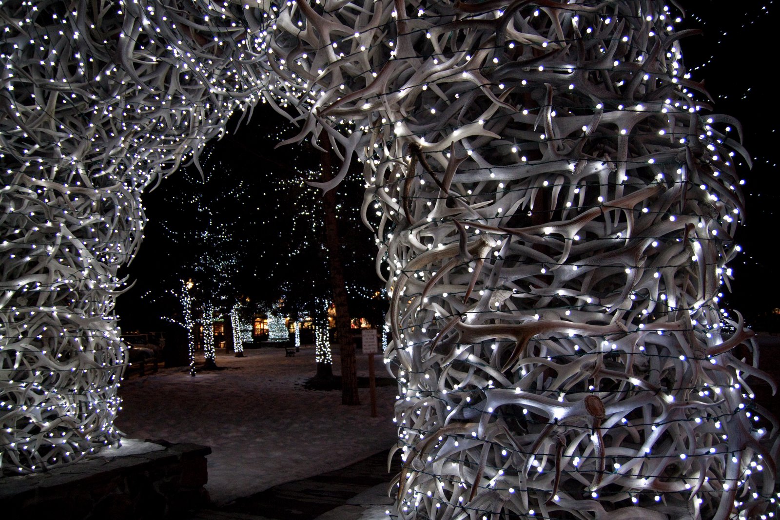 [Jackson+Hole_2010_03-24.jpg]