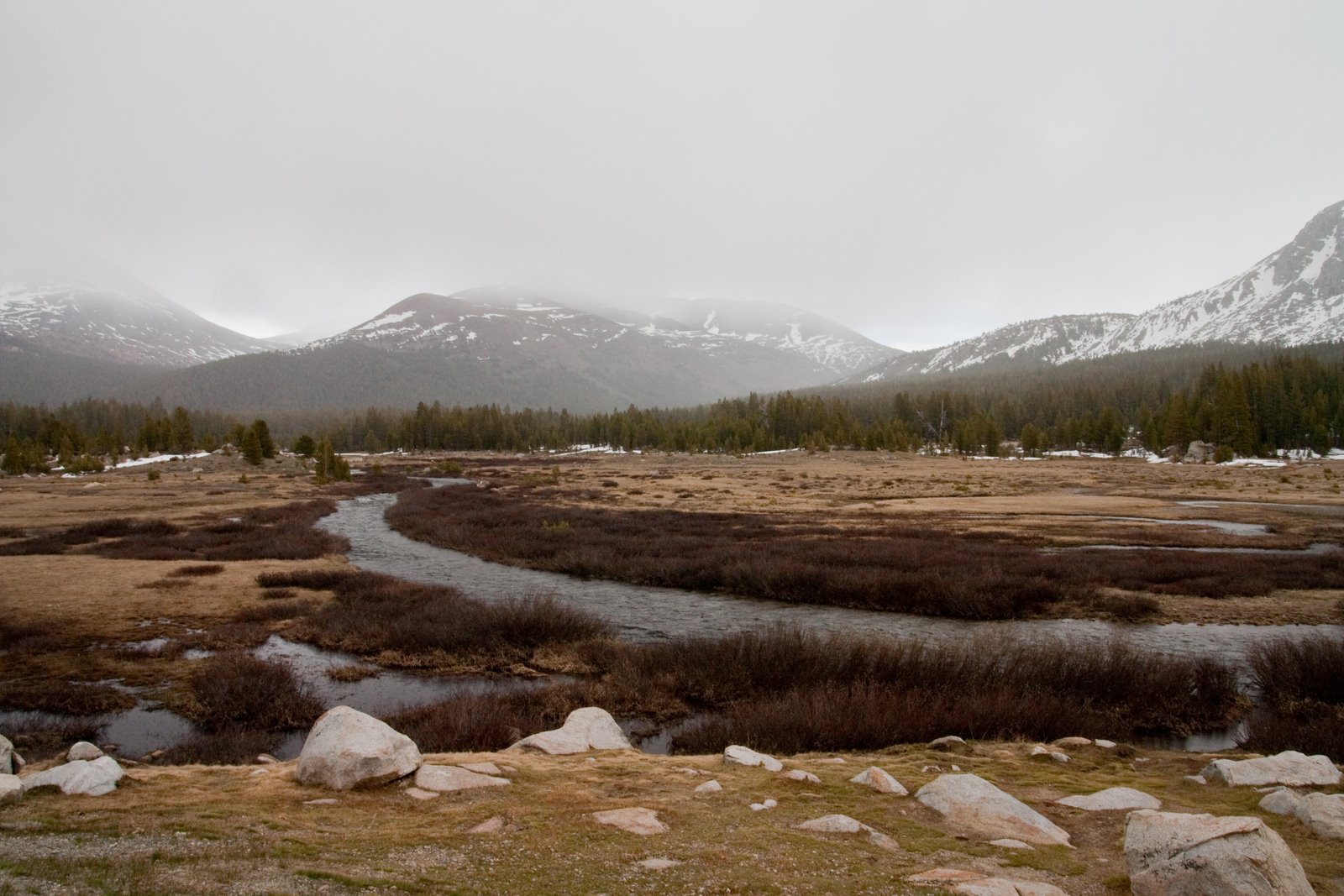 [Yosemite+(104+of+113).jpg]