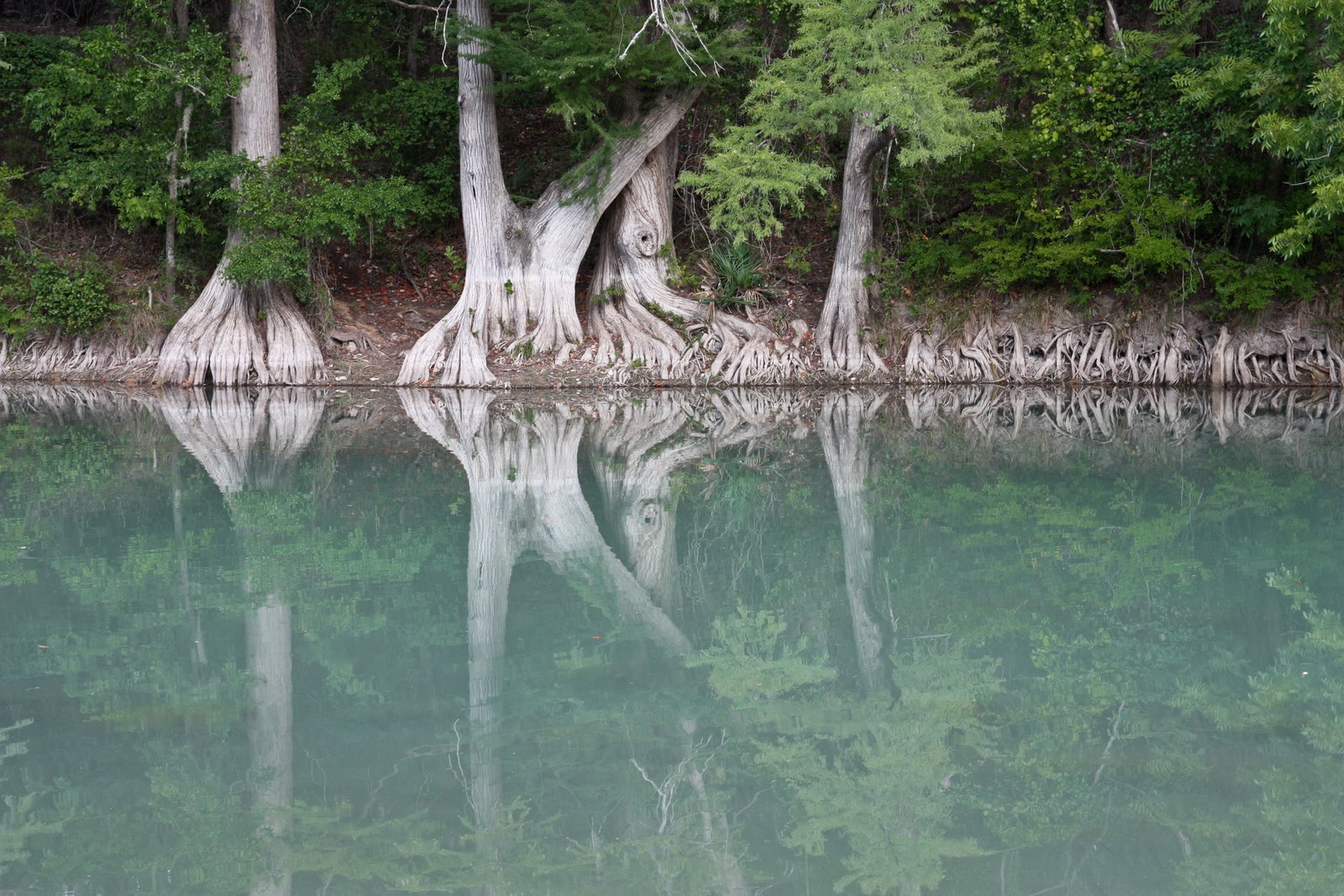 [melissa's+wedding-156.jpg]