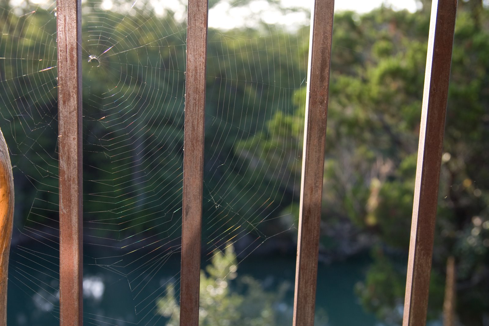 [melissa's+wedding-202.jpg]