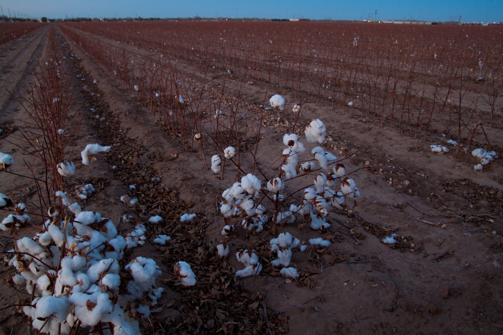 [Thxgiving+in+Lubbock+-2009-12-06-6599.jpg]