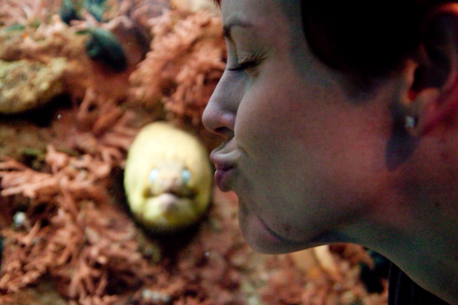 [Chicago+-2009-12-12-6937.jpg]