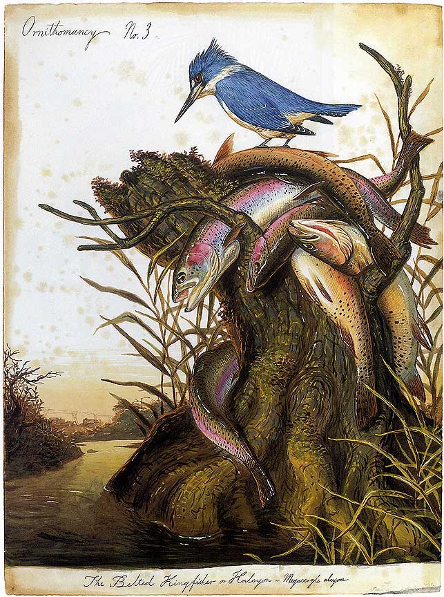 Dirty Grapes Walton Ford