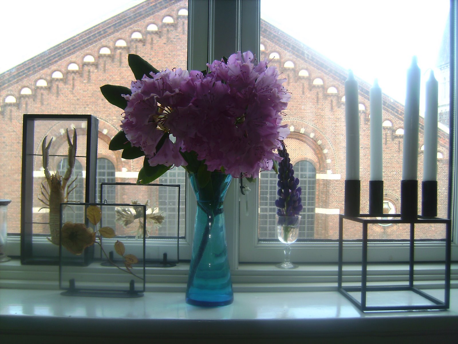 [BILD0708.JPG]