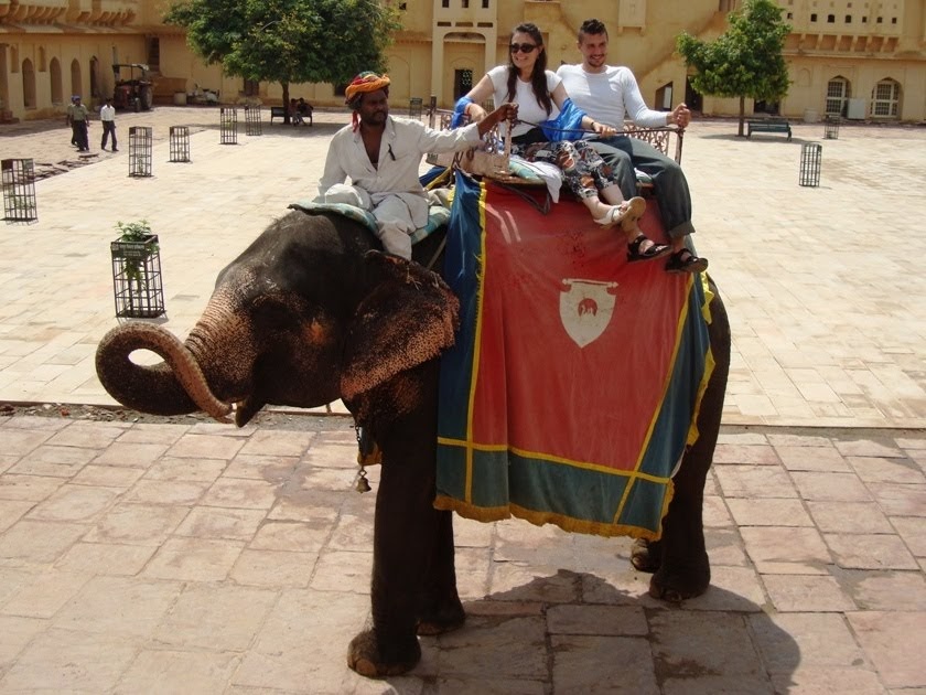 Delhi Magic The controversial elephant ride at Amer Fort, Jaipur