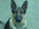 Shila