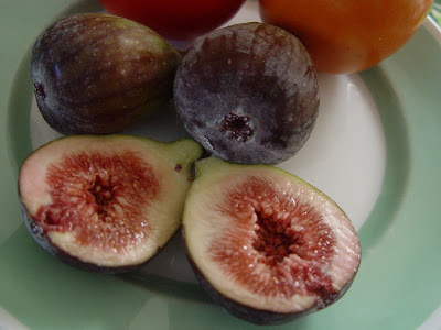 Brazil Fruit