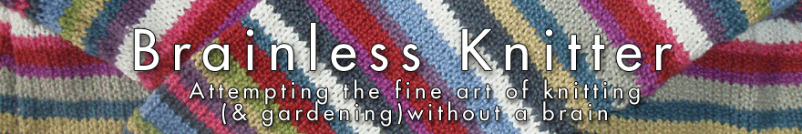 Brainless Knitter & Brainless Gardener