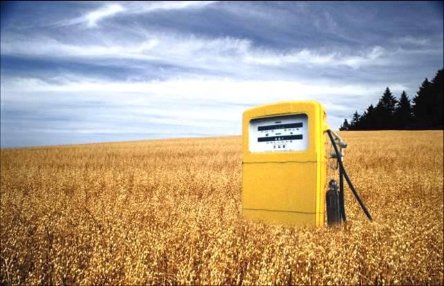 [biofuels.JPG]