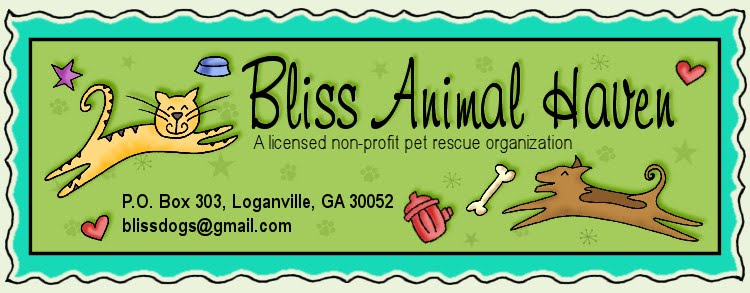 Bliss Animal Haven News