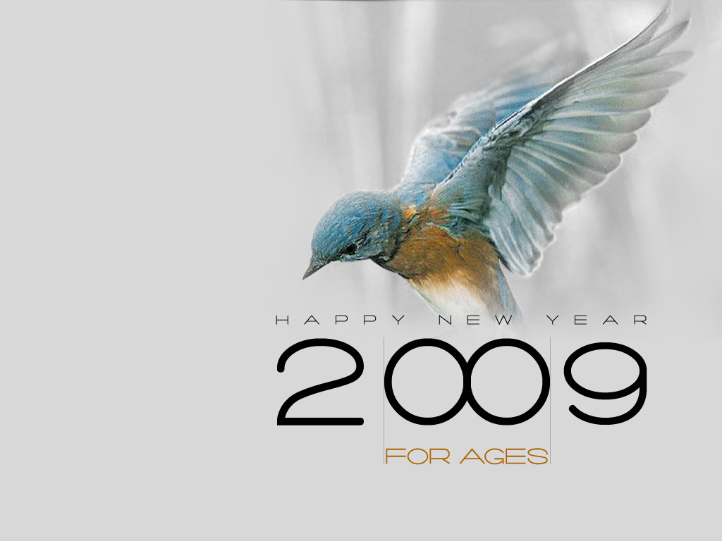 [New_year_2009_classic_wallpapers.jpg]