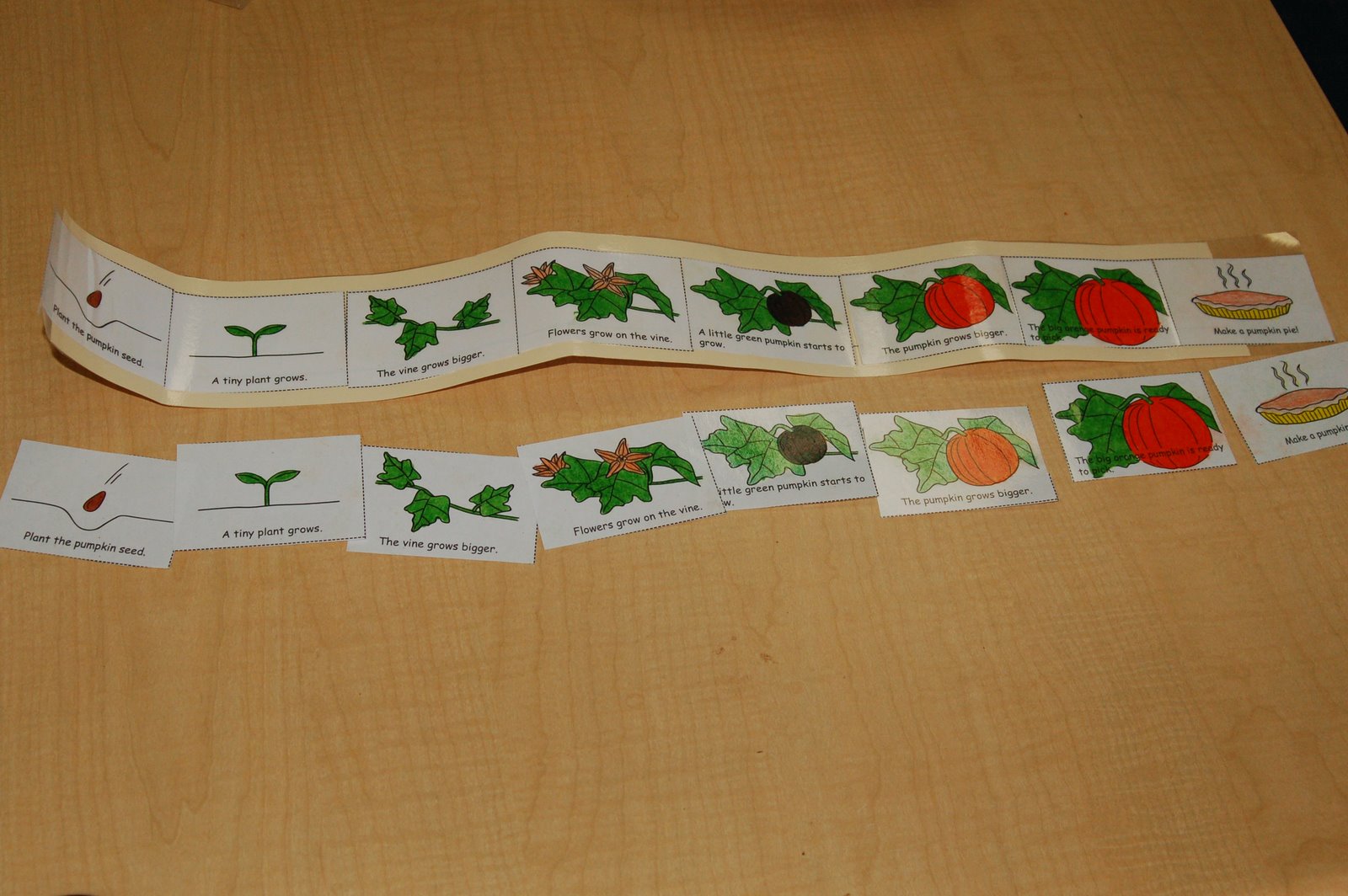 Teach Your Children Well: Pumpkin Life Cycle