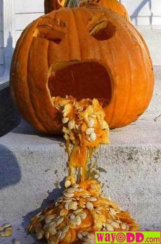 [funny-pictures-sick-pumpkin-0t6.jpg]