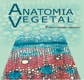 Atlas Virtual da Anatomia Vegetal