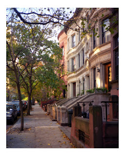 Trees and Brownstones Grow in Brooklyn Trees and Brownstones Grow in Brooklyn