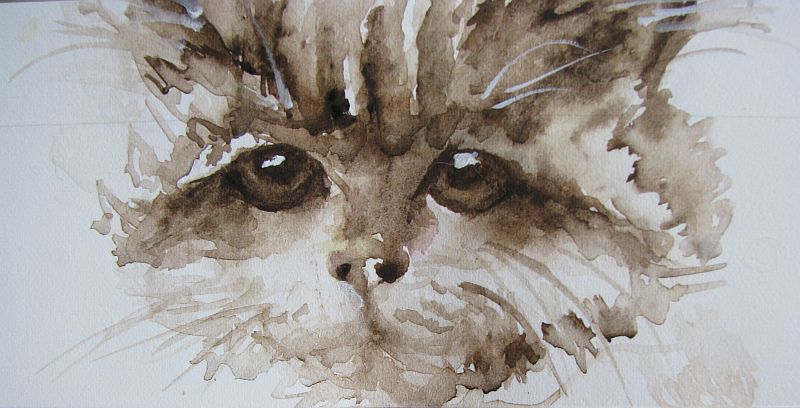 Sepia Cat