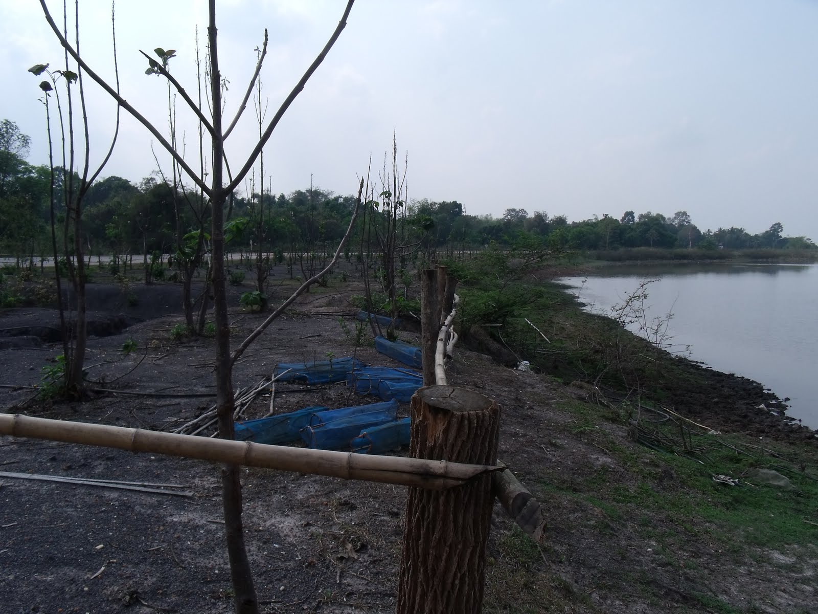 [DSCF1900.JPG]