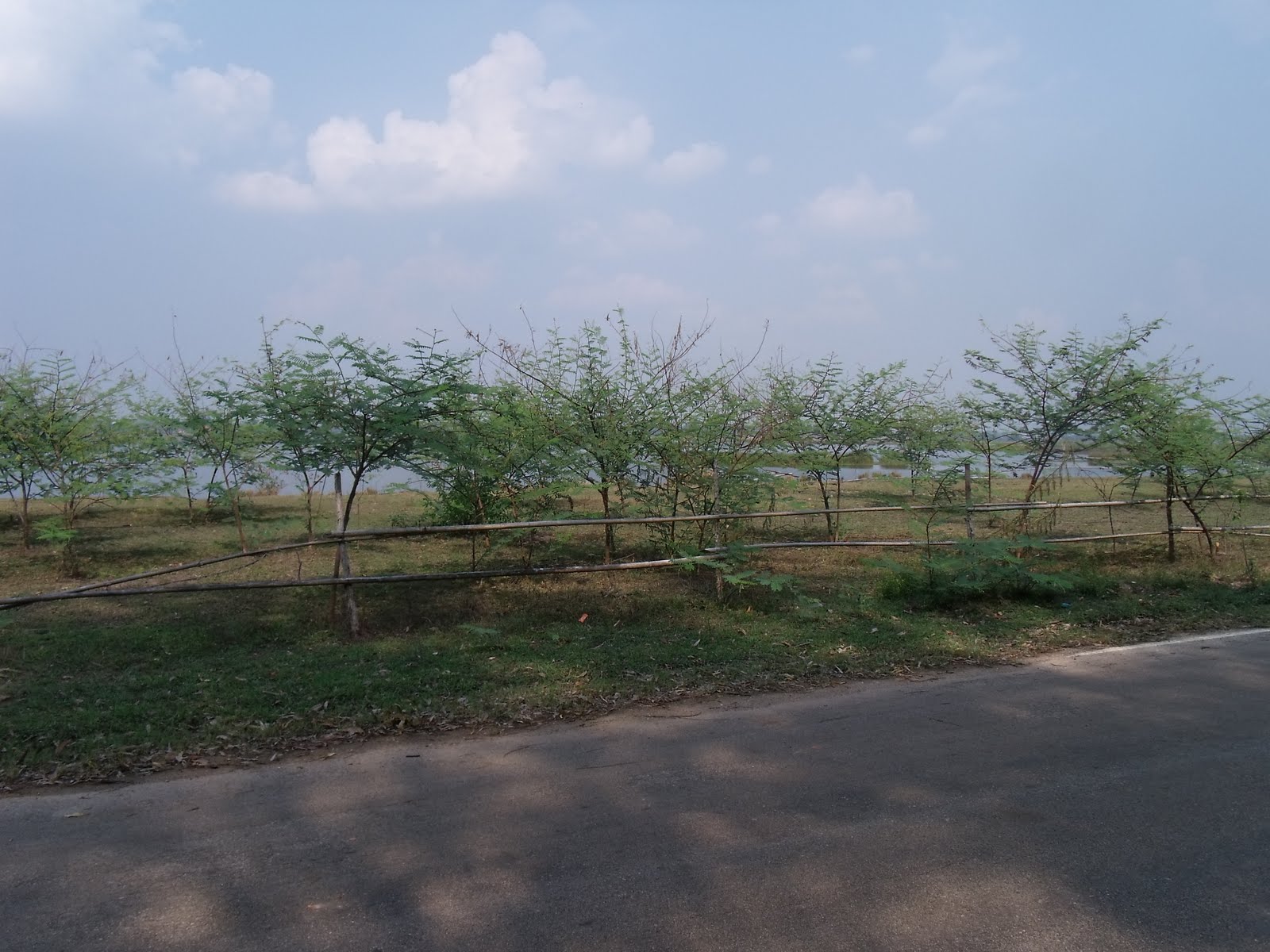 [DSCF1910.JPG]
