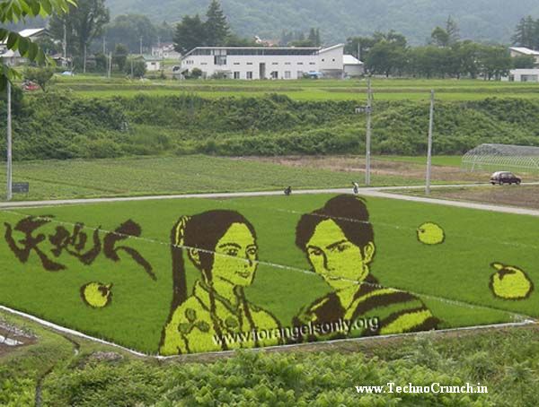 japanese crop art