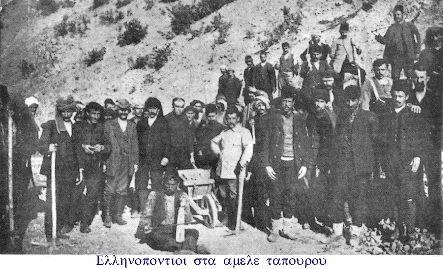 external image tagmata-erg.gif