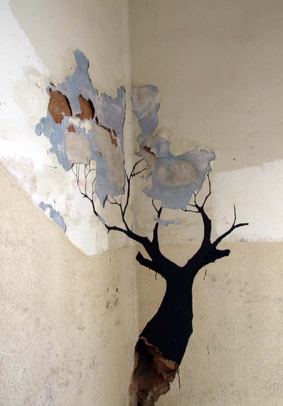 [baobab1.jpg]