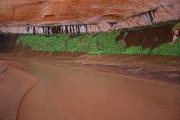 [DPP_0077.JPG]