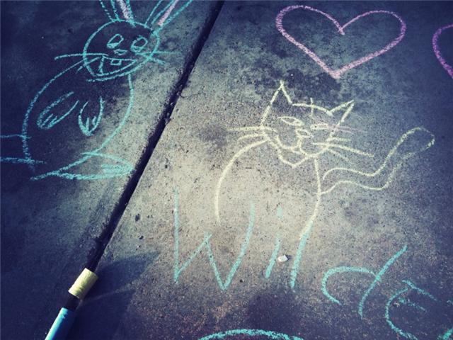 [bunny.jpg]