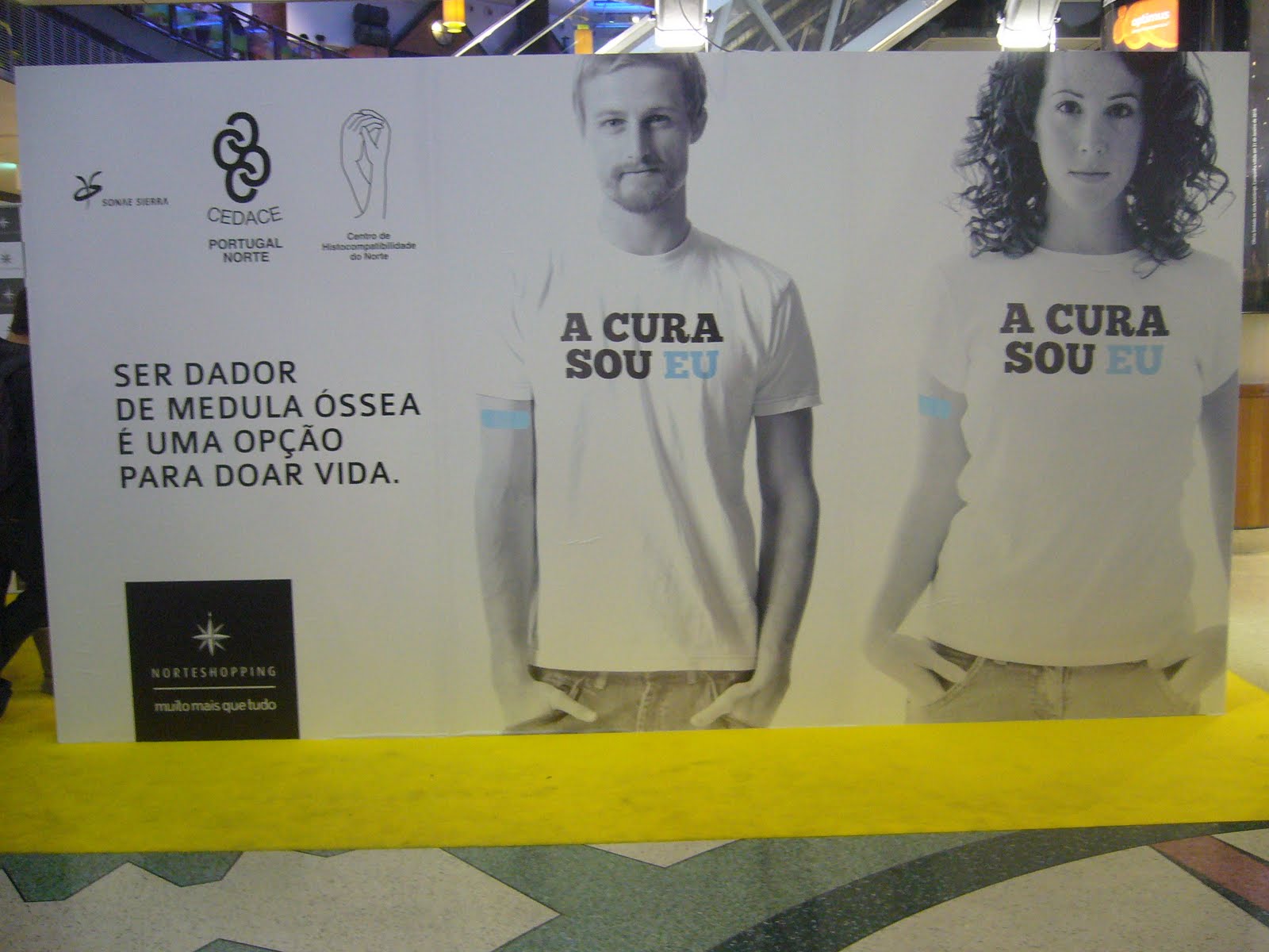 [P1290211.JPG]