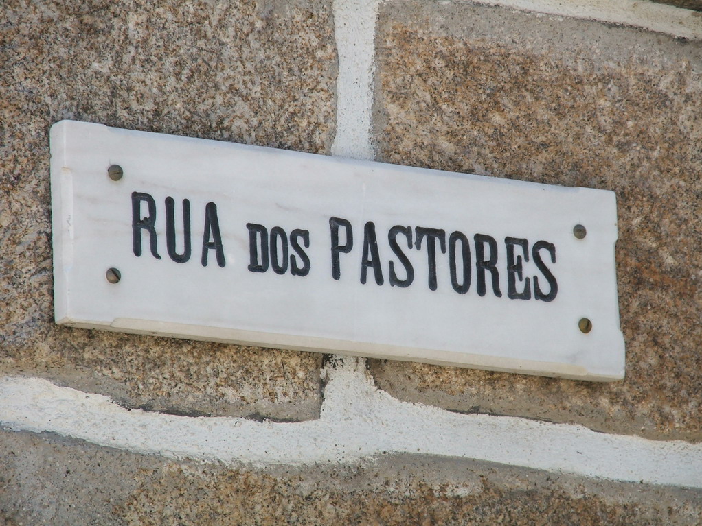 [DSCF2798_resize.JPG]