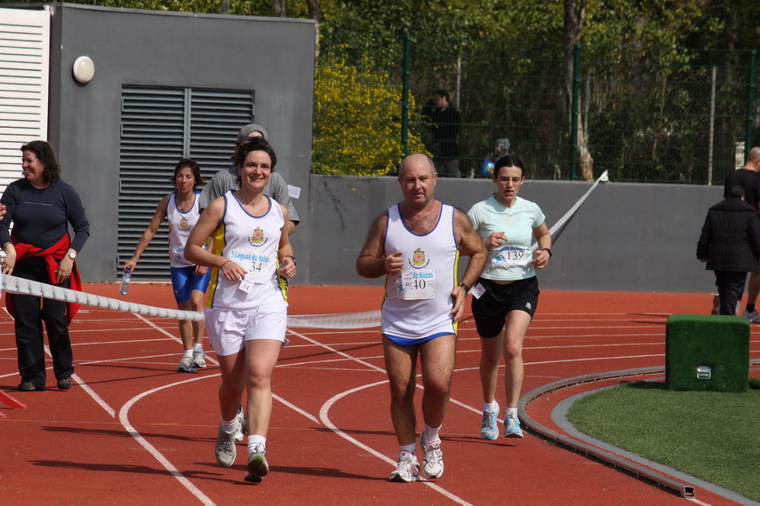 [IMG_8543_resize.JPG]