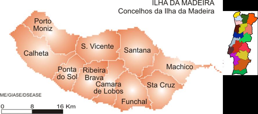 [poncha.jpg]