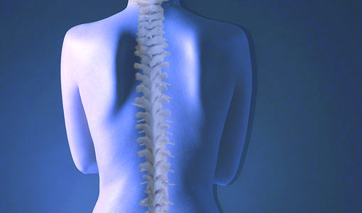 Chiropractic Myths