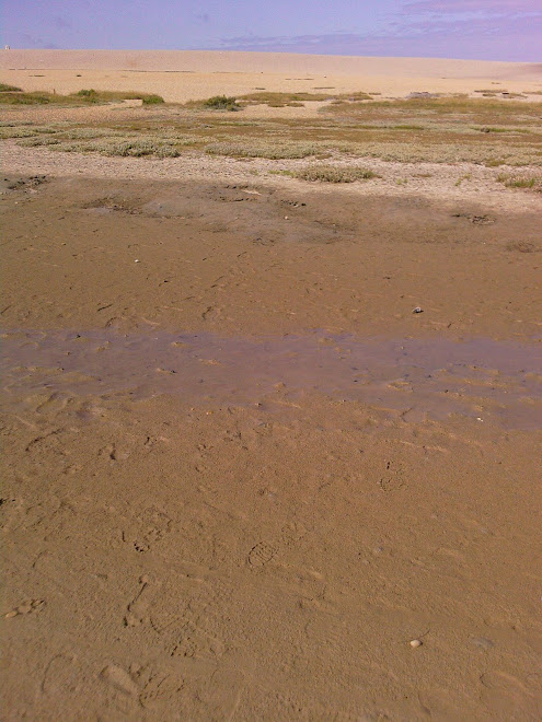 STRIPES OF MUD AND WATER AND PEBBLES AND SKY