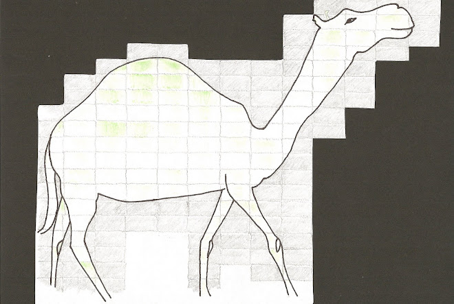 CAMEL BEFORE JOURNEY