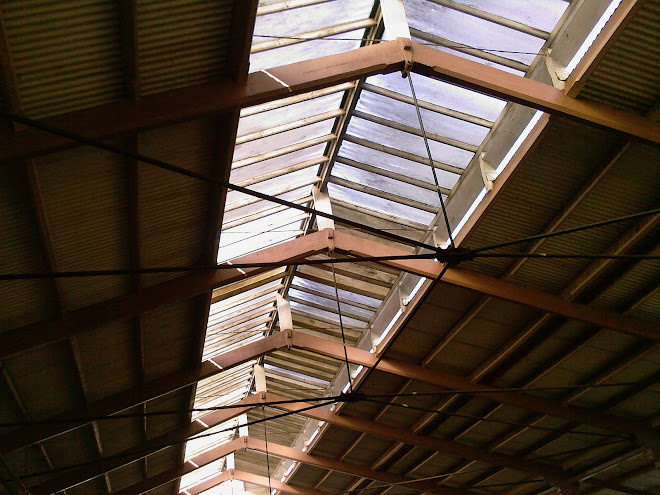 INSIDE FROME STATION  -  ROOF