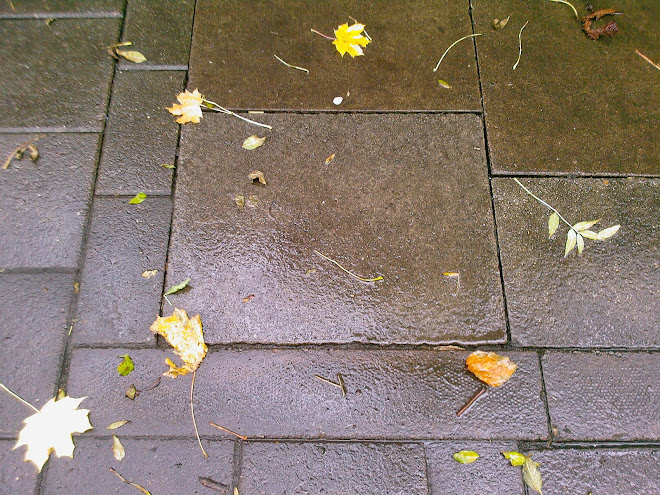 PAVING SQUARE WITH LEAVES