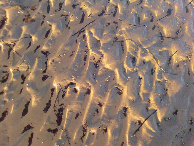 LOOKING DOWN AT SAND