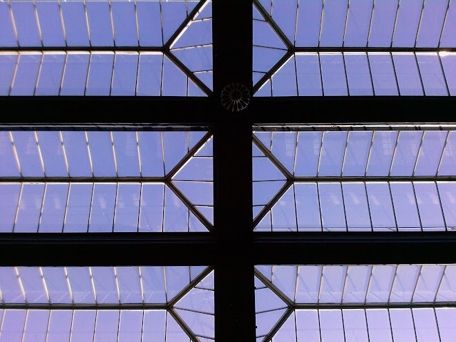 BOURNEMOUTH STATION ROOF, FOUR O'CLOCK IN THE AFTERNOON, 21ST FEBRUARY 2009