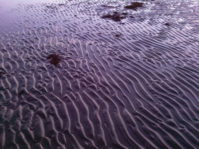 SAND RIPPLES, AS THE LIGHT DARKENS ON ALBERT'S BEACH