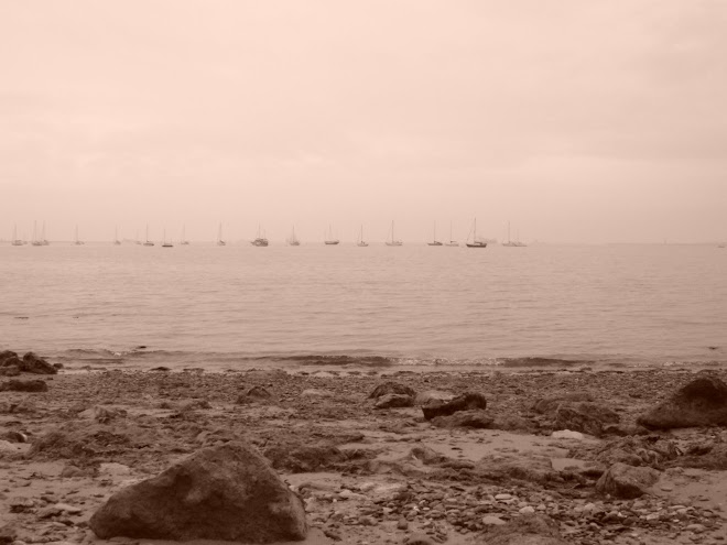 MIST ACROSS PORTLAND HARBOUR