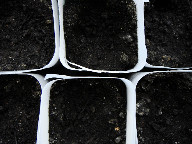 HOME-MADE FLOWER POTS